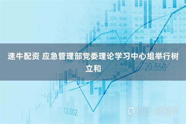 速牛配资 应急管理部党委理论学习中心组举行树立和